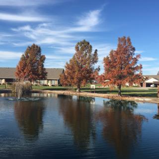 A serene view of autumn trees reflecting on a calm lake under a clear blue sky.