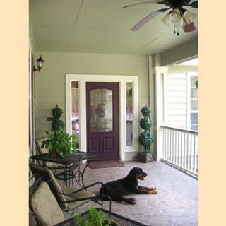 A cozy porch featuring a dog lying down, with plants and outdoor furniture around.