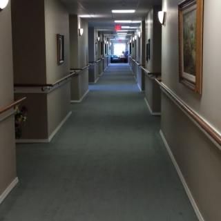 A long hallway with green carpet and paintings on the walls.