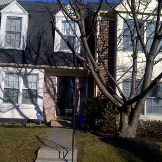 A suburban house with a large tree in the front yard on a sunny day.
