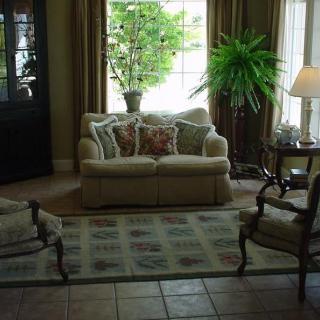 A cozy living room with a sofa, armchairs, and a lush indoor plant by the window.