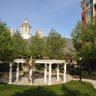 A scenic view of a gazebo surrounded by trees with buildings in the background.