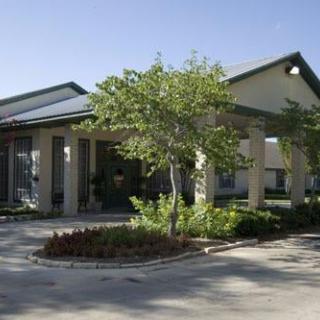 A modern residential house with a landscaped front yard and a tree.
