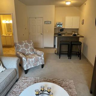 Cozy apartment living room with an open kitchen layout, featuring comfortable furniture and modern decor.