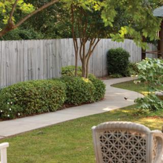 A serene garden with a winding pathway lined by bushes and trees, enclosed by a wooden fence.