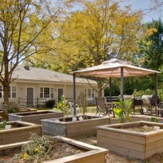 A serene outdoor garden area with raised beds and a patio umbrella, set against a house and surrounded by trees.