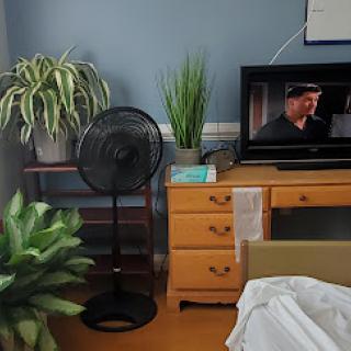 A cozy room featuring a fan, decorative plants, and a television on a bedside table.