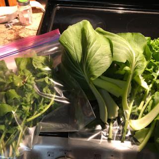Assorted fresh greens and herbs ready for preparation.
