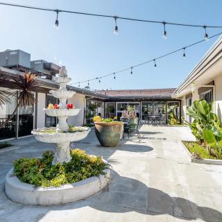 A sunny courtyard featuring a fountain surrounded by plants and strings of lights overhead.