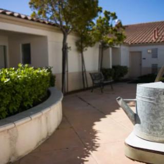 A sunny courtyard with a seating area and garden, featuring a building with tiled roofs and small trees.
