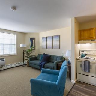 A cozy apartment living room with a sofa, armchair, and a small kitchen area.