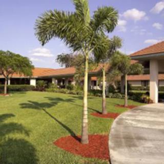 A landscaped area with palm trees and a building on a sunny day.