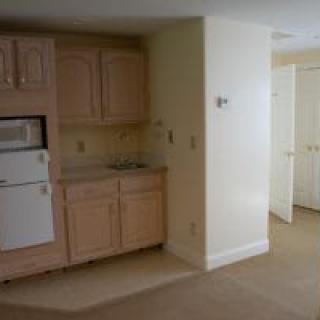 A small kitchen area with wooden cabinets and basic appliances.