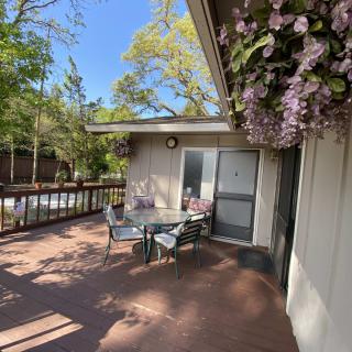 A sunny patio with a table and chairs surrounded by lush plants and flowers.