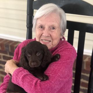 An elderly woman sitting on a porch in a rocking chair, holding and smiling at a puppy.