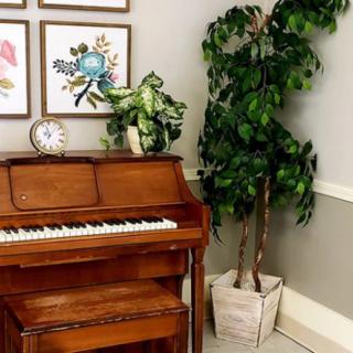A cozy music corner with a piano, framed artwork, and lush indoor plants.