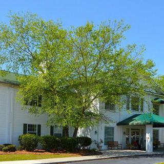 A sunny day view of a residential building with a large tree in front.