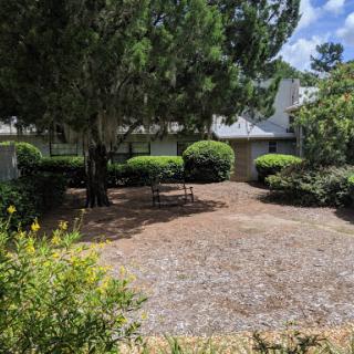 A serene garden space featuring lush greenery and a gravel pathway.