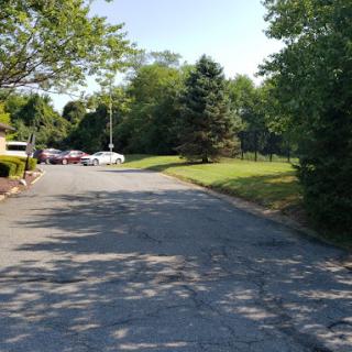 A sunny day on a quiet road lined with trees and parked cars.