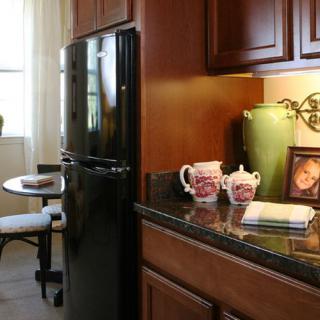 A modern kitchen with dark wood cabinets, a black refrigerator, and decorative items on the countertop.