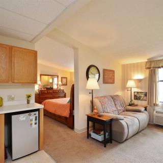 A cozy living space featuring a combined living room and bedroom area with comfortable furnishings.