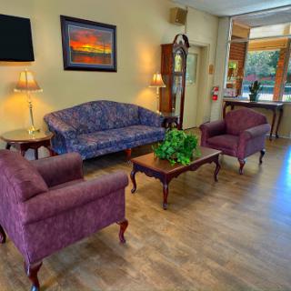 A cozy and inviting living room setup featuring a patterned sofa, two armchairs, a coffee table with a plant, and ambient lighting.