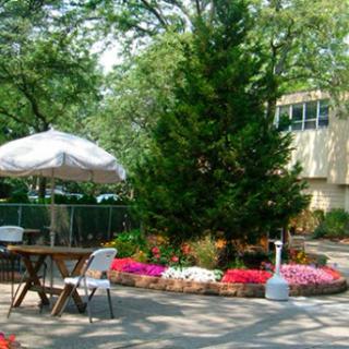 A serene garden space featuring vibrant flowers, a large tree, and patio furniture under a sunshade.