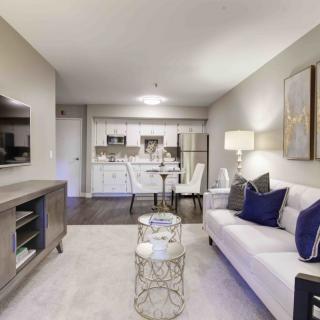 A modern apartment living room with an adjacent dining area and kitchen.