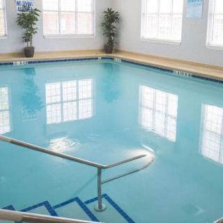 An indoor swimming pool with clear water, surrounded by windows and decorated with potted plants.