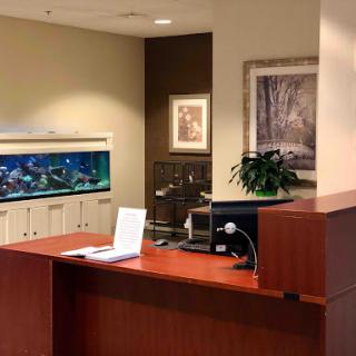 A welcoming reception area featuring a desk, aquarium, and decorative elements.