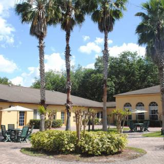 A sunny courtyard with palm trees and outdoor seating surrounded by buildings.