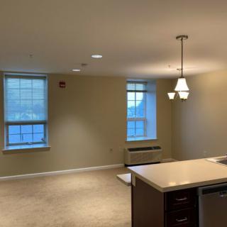 An empty apartment with a view of the living area and kitchen, featuring carpeted floors and two windows.