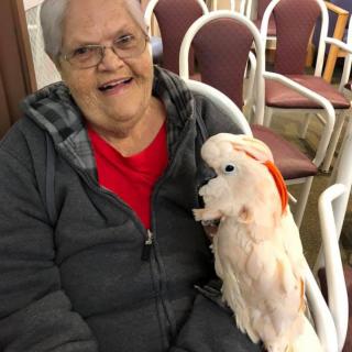 An elderly woman smiling while holding a parrot indoors.