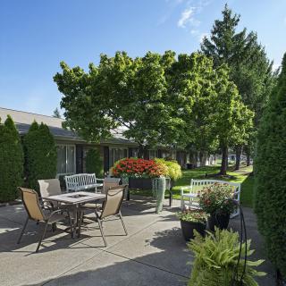 A peaceful patio with outdoor furniture surrounded by lush greenery and trees.