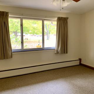 An empty room with a large window, carpeted floor, and a ceiling fan.