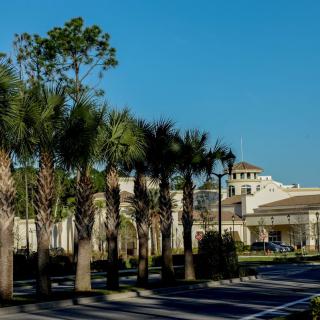 A sunny day with palm trees lining the entrance to a large building.