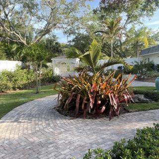 A beautifully landscaped garden with tropical plants and a paved pathway.