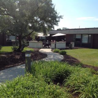 A peaceful residential area with a winding pathway and lush greenery.
