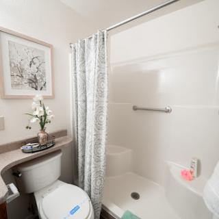 A modern and clean bathroom setup featuring a shower, toilet, and decorative elements.