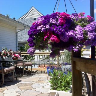 A sunny patio adorned with vibrant hanging flowers and comfortable outdoor furniture.