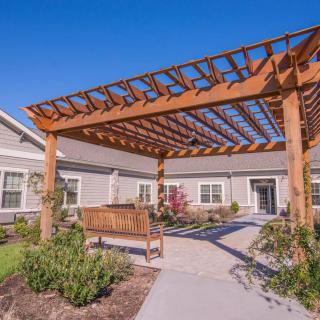 A beautifully landscaped outdoor area with a wooden pergola and a bench on a sunny day.