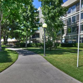 A peaceful walkway surrounded by trees and grass leading to a modern building.