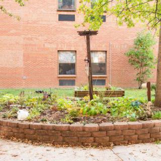 A small garden with various plants and a wooden structure, set against a brick building backdrop.