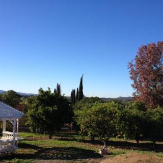 A serene outdoor scene with a gazebo, surrounded by lush trees under a clear blue sky.