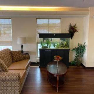 Cozy living room with an aquarium centerpiece and stylish decor.