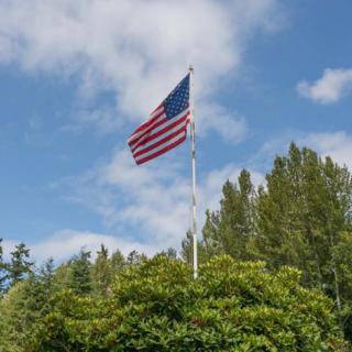 An American flag waving atop a flagpole surrounded by lush trees under a partly cloudy sky.