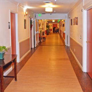 A well-lit hallway with doors on either side and a plant on a table.