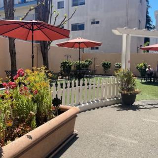 A sunny outdoor patio area with umbrellas, flowers, and seating.