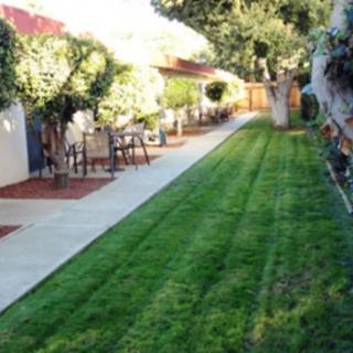 A well-maintained garden with a grassy lawn and paved walkway lined with trees and outdoor chairs.