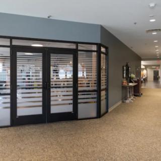 A modern office hallway with glass doors and carpeted flooring.